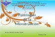 Patologias menstruales