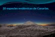 20 especies endémicas de Canarias