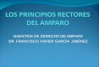 Los principios rectores del amparo - Dr. Francisco Xavier García Jiménez