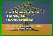 Mm concepcionistas barcelona infantil 4 años  la riqueza de la tierra su  biodiversidad