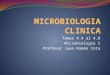 Microbiologia clinica y antibioticos