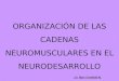 Neurod  Cadenas