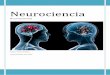 Neuroanatomia. temario completo