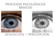1.  procesos psicologicos basicos- sensacion y percepcion