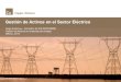Gestión de activos en compañias eléctricas - utilities