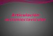 Articulación acromioclavicular
