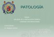 Patología (1)