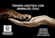 Terapia asistida con animales (TAA)
