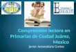 Comprensión lectora en primarias de ciudad juárez, Javier Armendariz Cortez