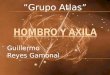 Hombro y Axila Grupo Atlas Anatomia (BASICO)
