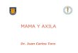 Mama y axila_(12)