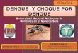 Dengue (nj, pediatria)