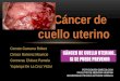 Seminario cancer cuello uterino