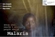 Salud / Malaria