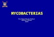 Mycobacterias Atípicas