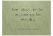 Semiologia organo de los sentidos i.key
