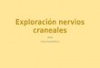 Exploración nervios craneales