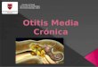 Otitis media crónica