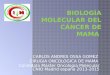 Biología molecular del cáncer mama