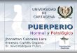 Puerperio Normal Y Patologico