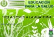Relaciopnes De La Anatomia(Educ P La Salud) Jose Pablo Diaz Monroy