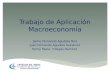 Trabajo de aplicación macroeconomía