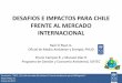 Desafíos e impactos para Chile frente al mercado internacional, Raúl O'Ryan, PNUD