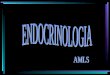 5. endocrinologia. introducción