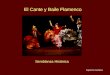 El Cante Flamenco   Historia Y Musica