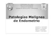Patologias de endometrio