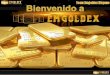 Presentacion Plan de inversión de emgoldex 2013 slide para Venezuela