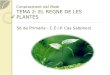 Coneixement del Medi 5è - TEMA 2: El regne de les plantes - C.E.I.P. Cas Saboners