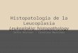 Histopatología de la leucoplasia