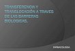 TRANSFERENCIA Y TRANSLOCACIÓN A TRAVES DE LAS BARRERAS BIOLOGICAS