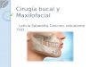 Cirugía bucal y maxilofacial