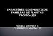 Caracteres Diagnosticos Familias De Plantas Tropicales