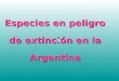 Especies en peligro de extinción en la Argentina