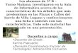 Características de los árboles de las plazas y calles del barrio de Villa Lugano - C.A.B.A