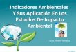 Presentacion eia expo. indicadores ambientales para publicar