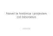 Novel·La HistòRica I Projectes Col·Laboratius2