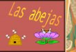 Marian Las abejas