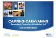 Estrategia de presencia e identidad en red CECC. Camping y Caravaning