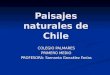 Paisajes Naturales De Chile