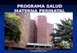 Programa de salud materna y perinatal