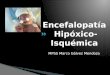 Encefalopatia hipoxico isquemica