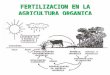 fertilizacion en la agricultura organica