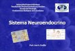Clase sistema neuroendocrino
