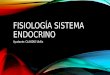 fisiología (esquemas)  - sistema endocrino