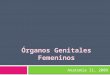 Organos Genitales Femeninos