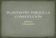 Plantas del parque la constitución